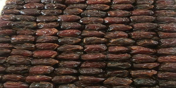 تصویر 1 از قیمت خرید خرمای کبکاب فله با فروش عمده